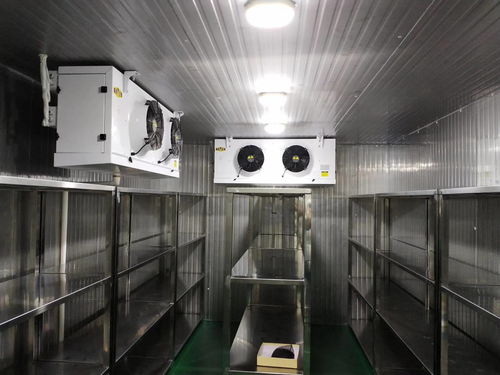 智能化安裝工程 構建未來高效安全的工作與生活空間